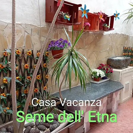 Seme Dell' Etna Catania
